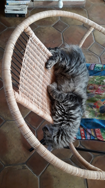 Westminstenders: What the winds bring