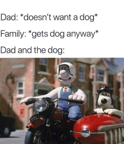 Can we have a meme thread?