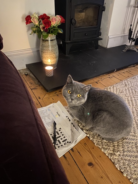 The Litter Tray Memorial Thread