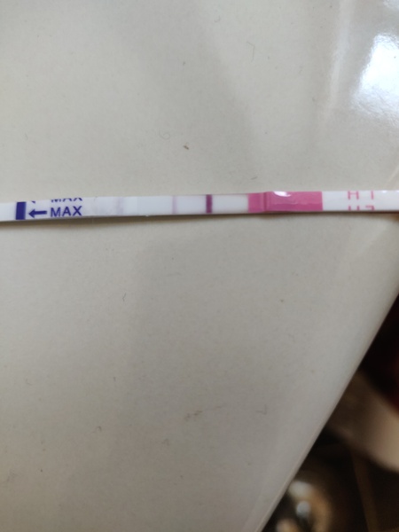 Evap or faint positive [picture warning]
