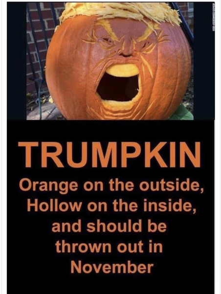 The final countdown to Election Day 2020 is on (Trump thread #106)