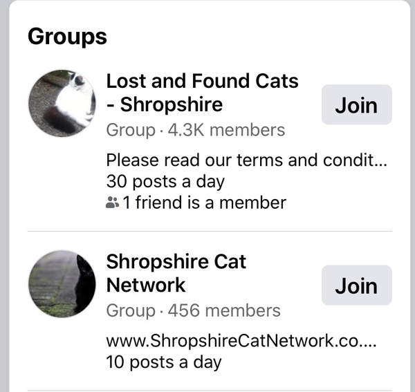So Upset.  Stolen Cat.
