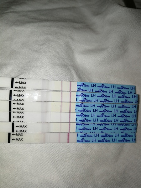 BFP rainbow babies