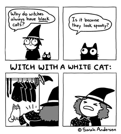 It's national black cat day today