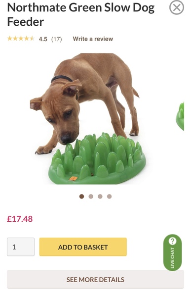 Slow feeder