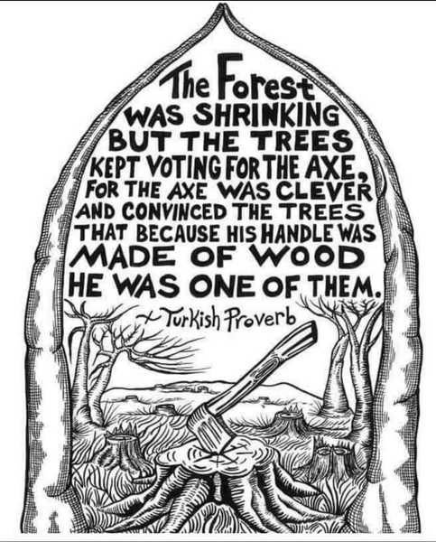 Westminstenders: The Tunnel or Bridge