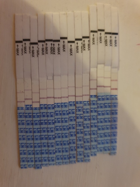 TTC again, need help and friends to i can talk to!