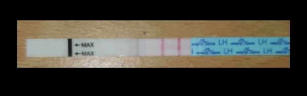 Penguin huddle 🐧🐧🐧 TTC after pregnancy loss - Thread 35 - time for some sticky BFP's