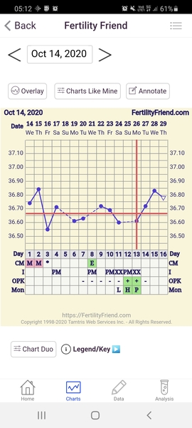 TTC cycle 1 (just come off pill) for #1