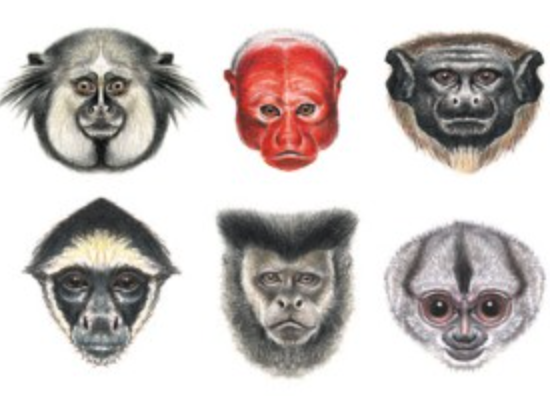 Why do mask discussions get so heated?