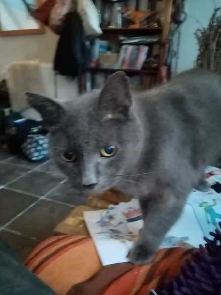 My old boy is fading away