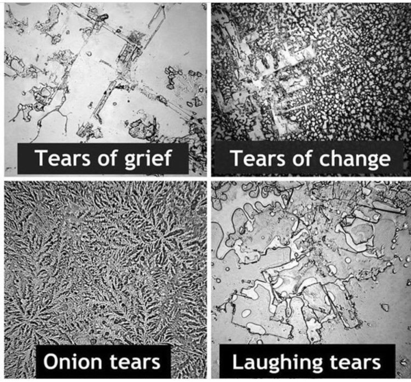 Things that are actually pretty weird when you think about them?