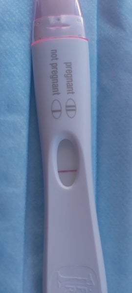 Ttc 12 months plus