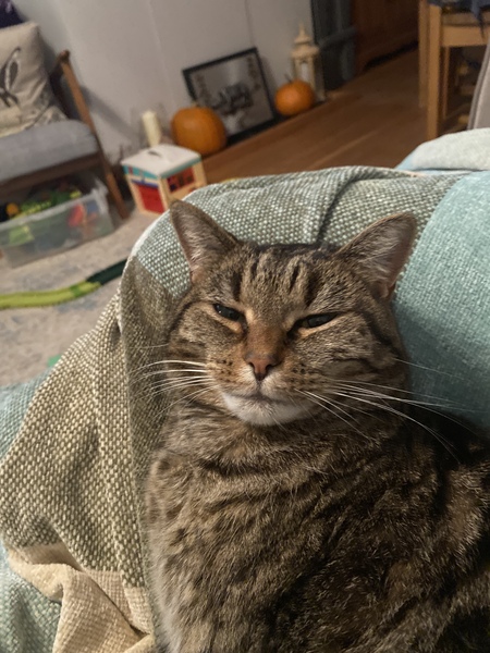 Frugal friends follow each other frugally through Hallowe'en, COVID all welcome