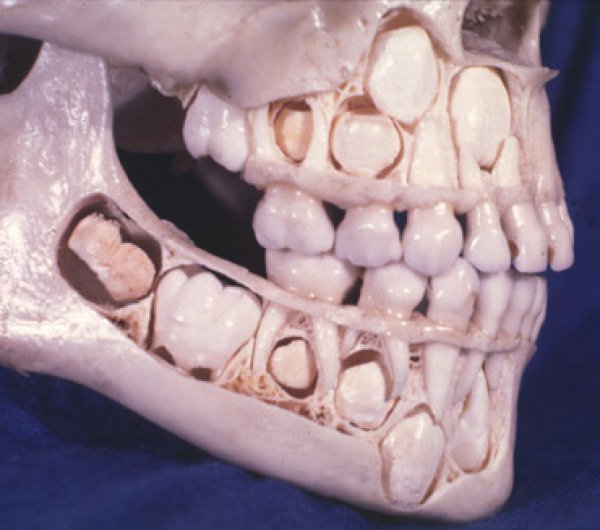 Things that are actually pretty weird when you think about them?