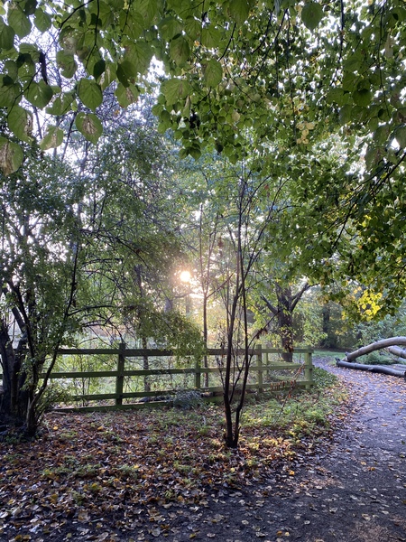 "YES it is SO worth it, YES it gets easier and YES we thought it was impossible as well - its not 😊"  A thread for those embracing an alcohol free existence.