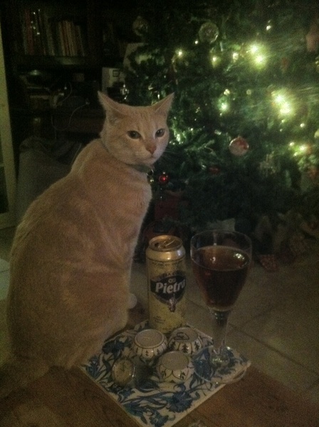 Could you please show me a really funny picture of your cat?