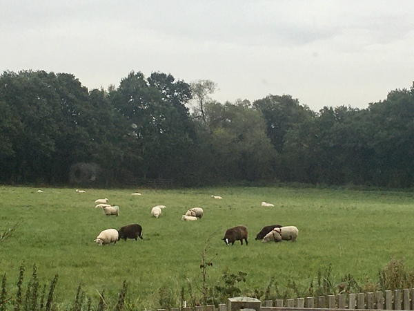 Howay the lasses - it's thread (but hopefully not tier) 3!