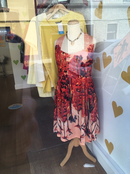 Help me find this dress