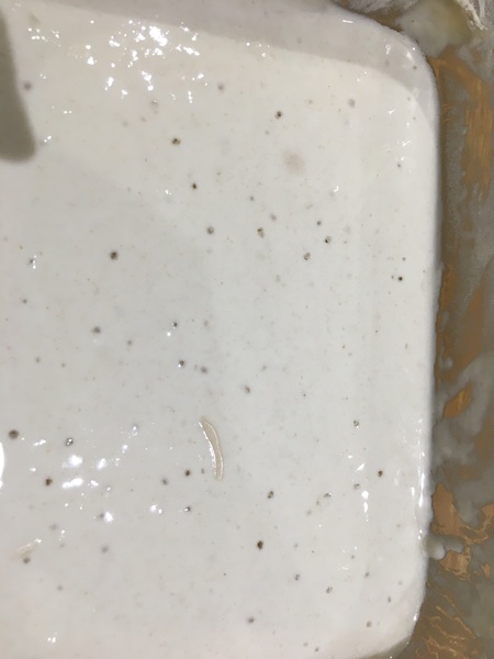 Sourdough help please