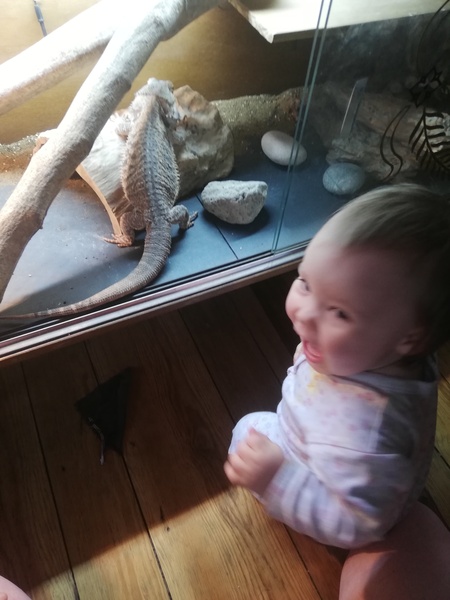 To ask you to tell me about your pets?