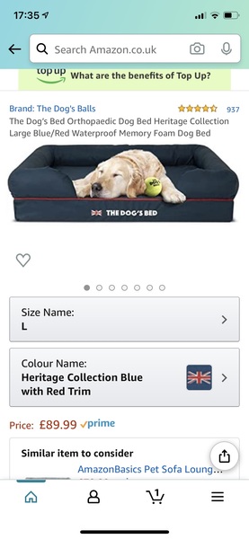 Can you recommend an amazing bed for an old boy?