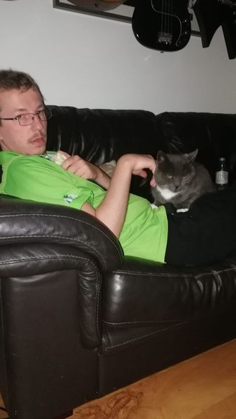 A strange cat has just climbed into my bedroom