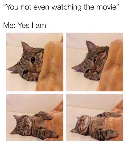 Can we have a meme thread?