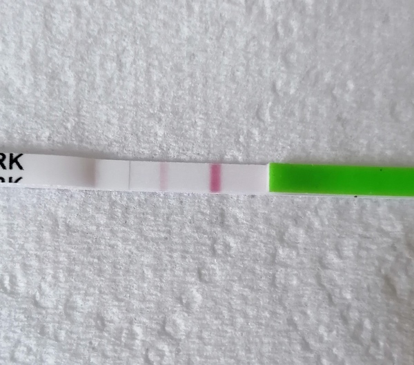 Ovulation around 17-22 Sept who's with me?