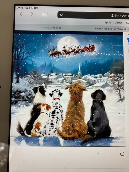 Beautiful paper advent calendar for an adult?