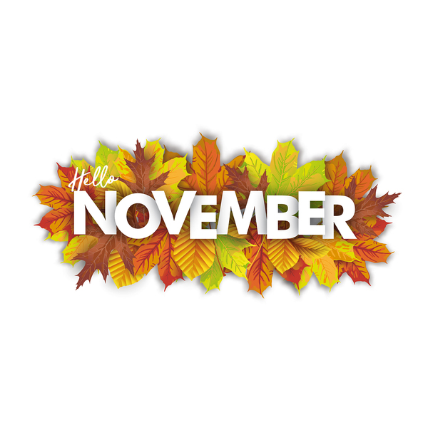 LOSE IT! November 2020