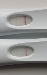 False positives?