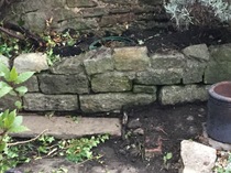 Help with this area please....overcrowded?