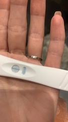 BFP or Evap Lines?