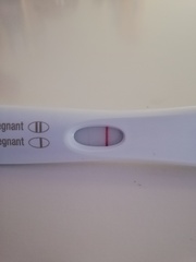 Can Menopause cause positive pregnancy results?