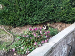 Please help me plan my planting