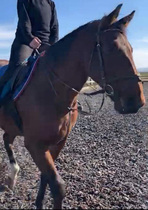 Potential share advice please!