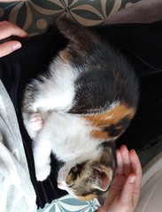 Need name ideas!