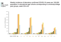 Pure data thread #1: Daily numbers, graphs, focused analyses