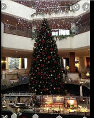 Countdown to Christmas 2020 (Thread 12): the one where all of the GHs have finally arrived!