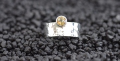 Looking for a ring like this...