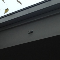 Little useful things that you can ask your builder to do while they're building your extension.