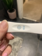 BFP or Evap Lines?