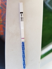 7 dpo
