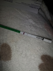 Good lines for 12/13 DPO?