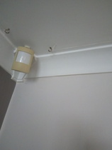What are these strange strings in my house