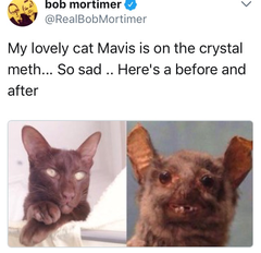 Can we have a meme thread?