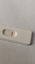 Pregnant or not?