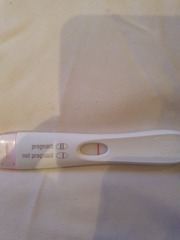 Tits out, chin up and ❤️ yourself - TTC Bus 19