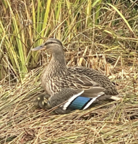 NOT what I expected to wake up to this morning...